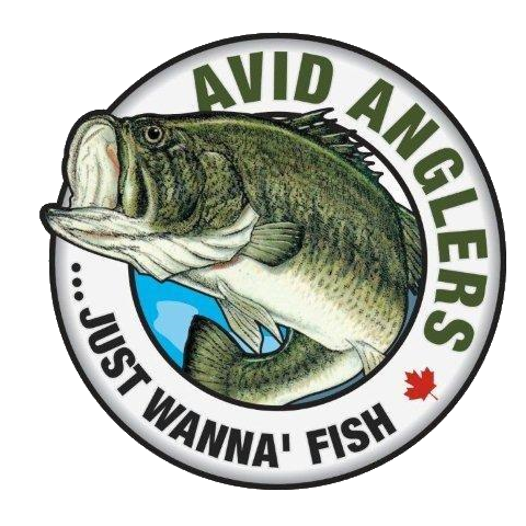 Kingston Avid Anglers Logo